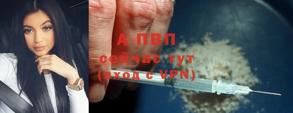 крисы Богородицк