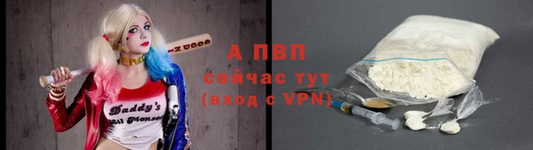 крисы Богородицк
