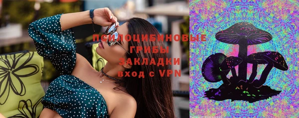 крисы Богородицк