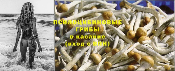 mix Богородск