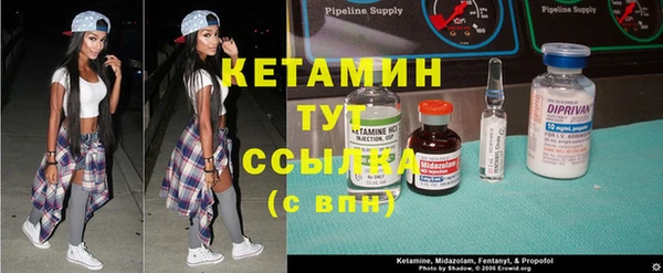 крисы Богородицк