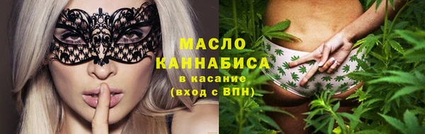 крисы Богородицк