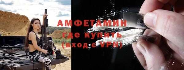 крисы Богородицк