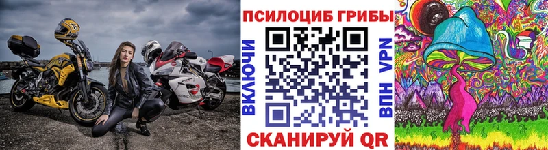 где можно купить наркотик  Белореченск  Галлюциногенные грибы GOLDEN TEACHER 