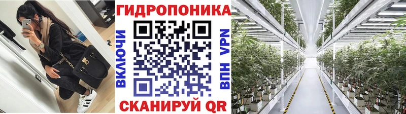 продажа наркотиков  Белореченск  Конопля индика 